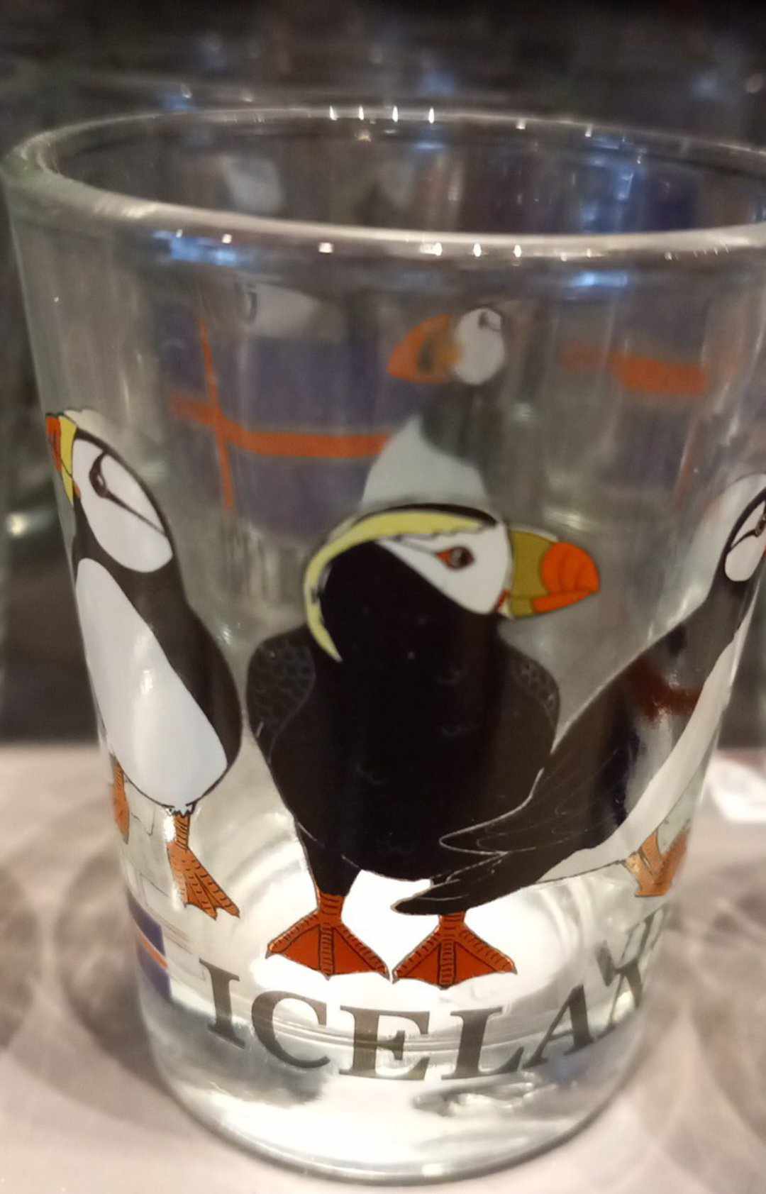 Icelandic Adventure Shot Glasses Icelandic Adventure Shot Glasses